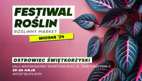Festiwal Roślin odbędzie się w Ostrowcu Świętokrzyskim