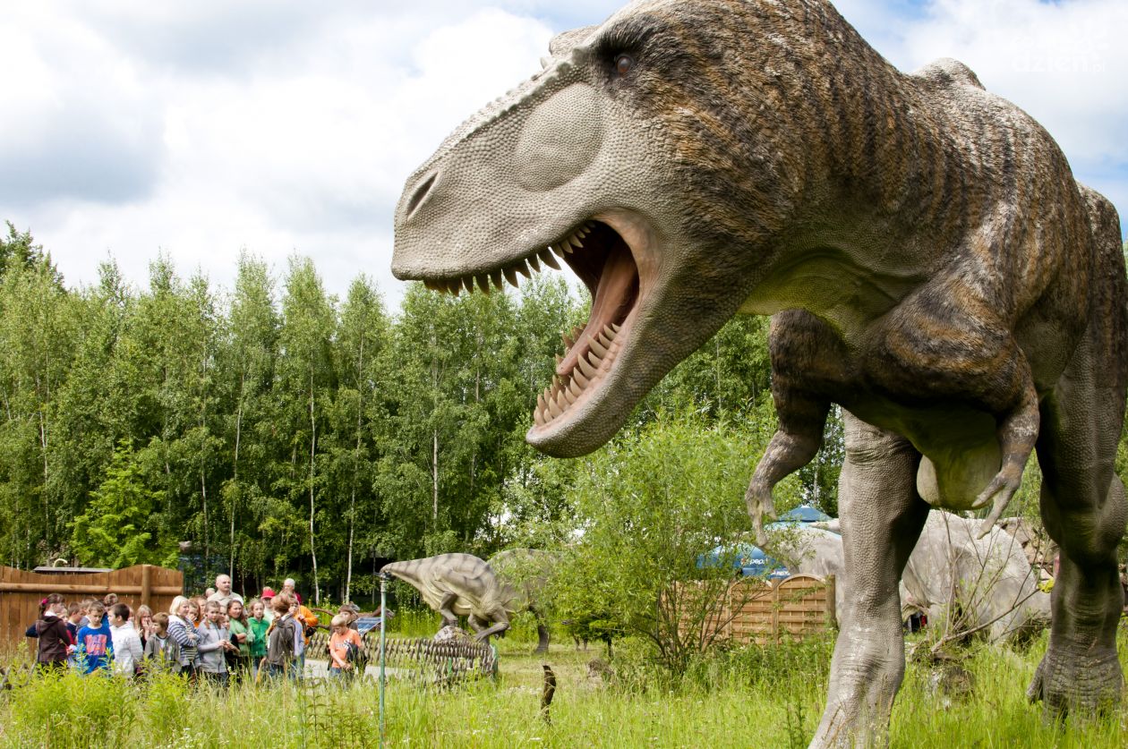 Bałtów - co za promocje!!! Toż to szok!