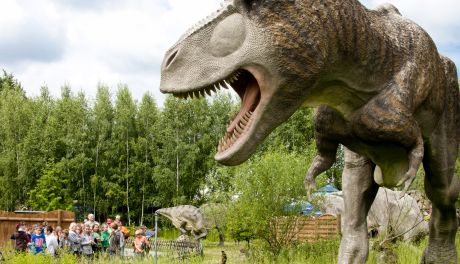 Bałtów - co za promocje!!! Toż to szok!