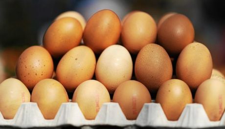 Uwaga - jaja z Salmonellą w naszej okolicy