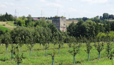 Tajemnicza wieża cz. II
