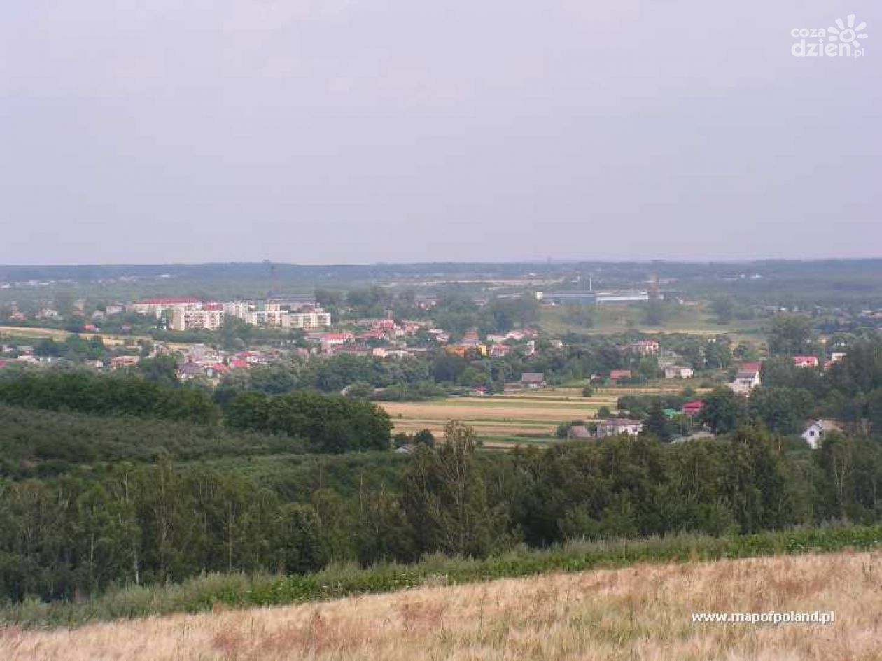 Na kogo głosować? Sprawdź!