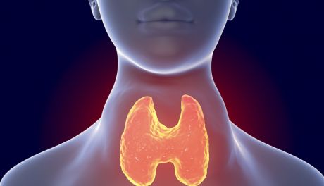 Tarczyca -jak o nią zadbać?
