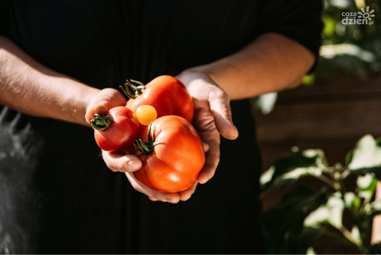 Przepis na rozgrzewający krem z pomidorów