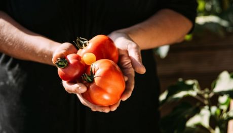 Przepis na rozgrzewający krem z pomidorów