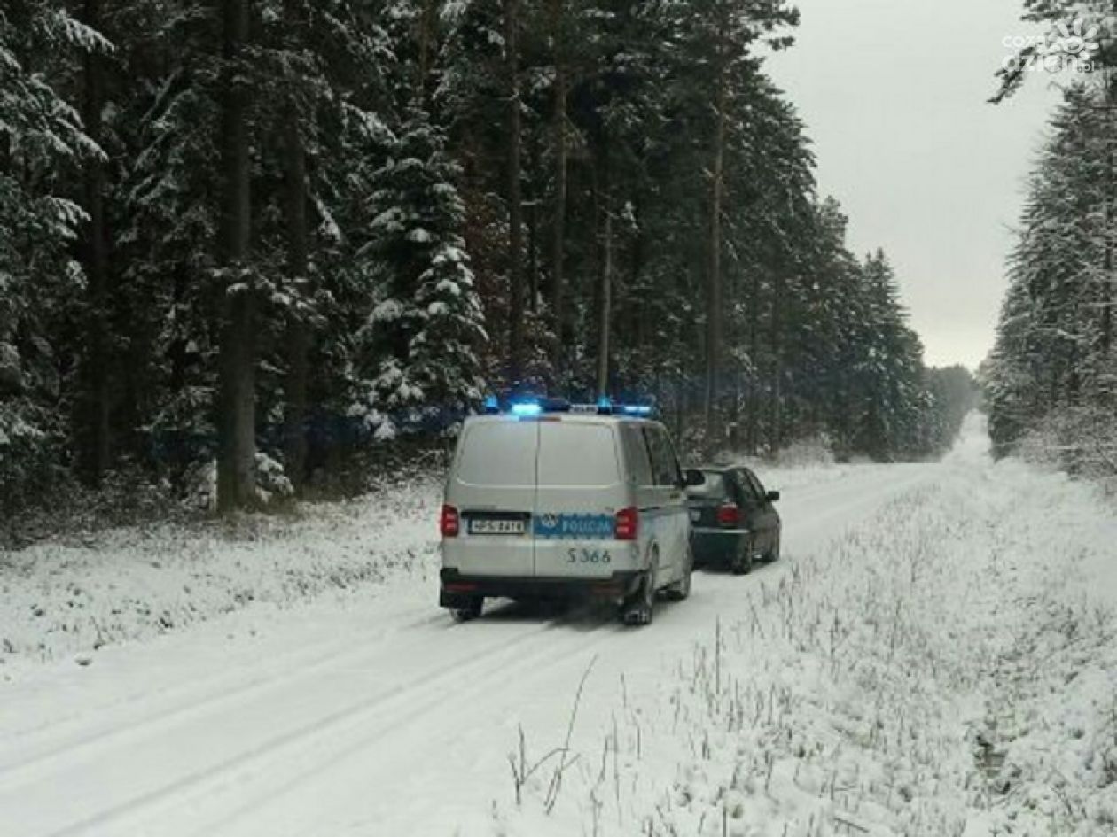 Wzmożone kontrole lasów