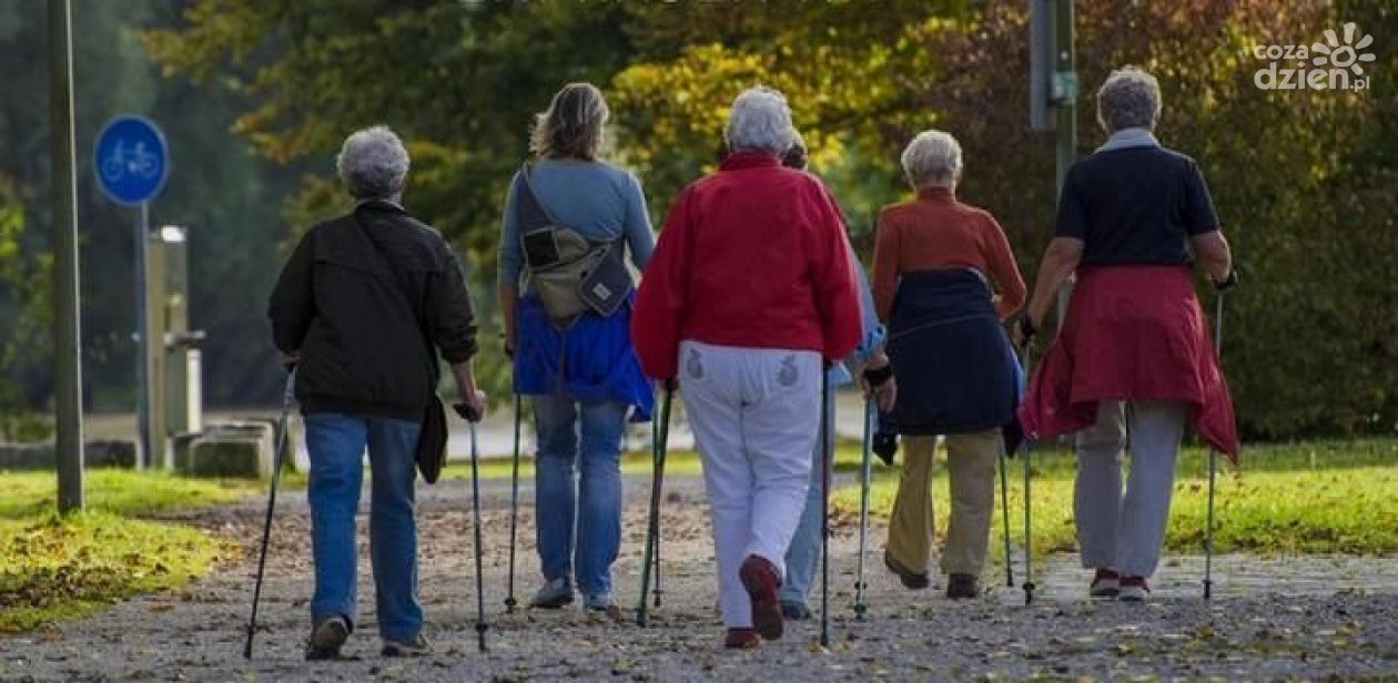Zumba, aerobik, siłownia, basen i 