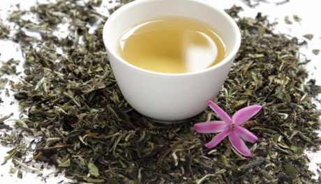 Biała herbata dla zdrowia i młodości