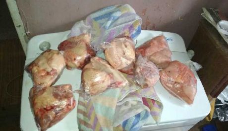 Włamał się do kurnika i ukradł drób