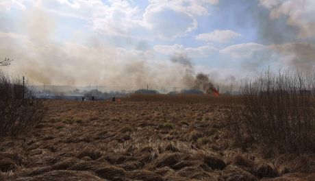 Hektary traw płonęły w Nietulisku Dużym 