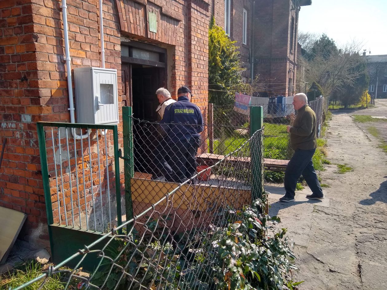 Psy więzione w czterech ścianach - interweniowały służby