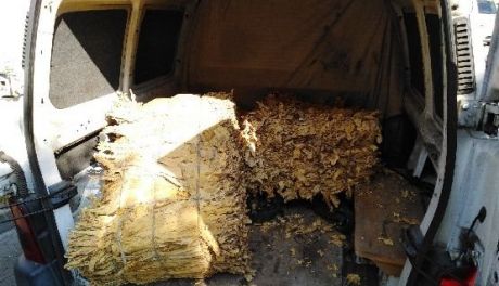 Blisko 200 kilogramów tytoniu w peugeocie 