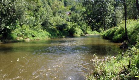 Z rzeki wyłowiono ludzkie nogi! Wstrząsające odkrycie w Kamiennej