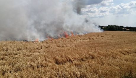 Paliło się zboże w Kosowicach. 