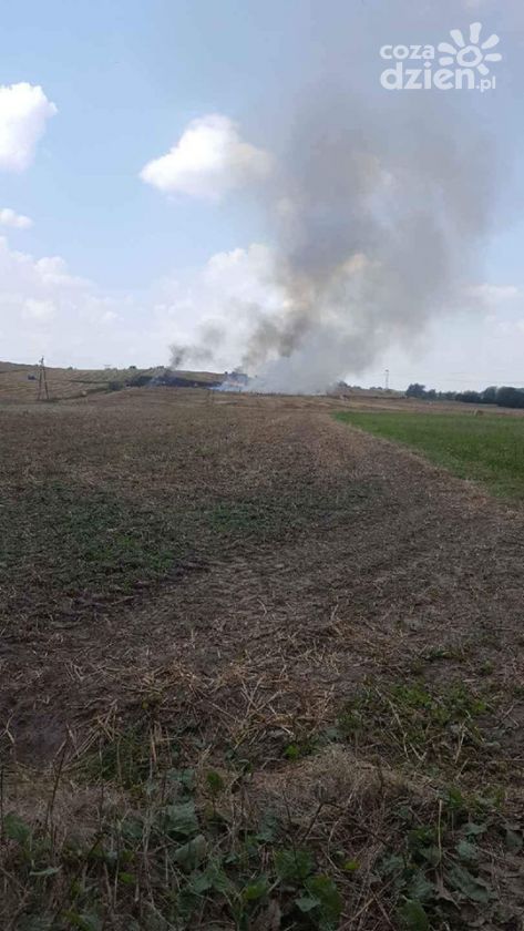 Paliło się zboże w Grójcu