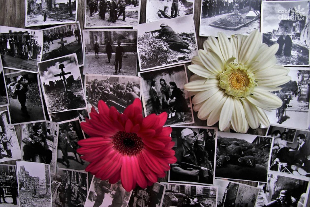 Wojewódzkie obchody II Wojny Światowej 