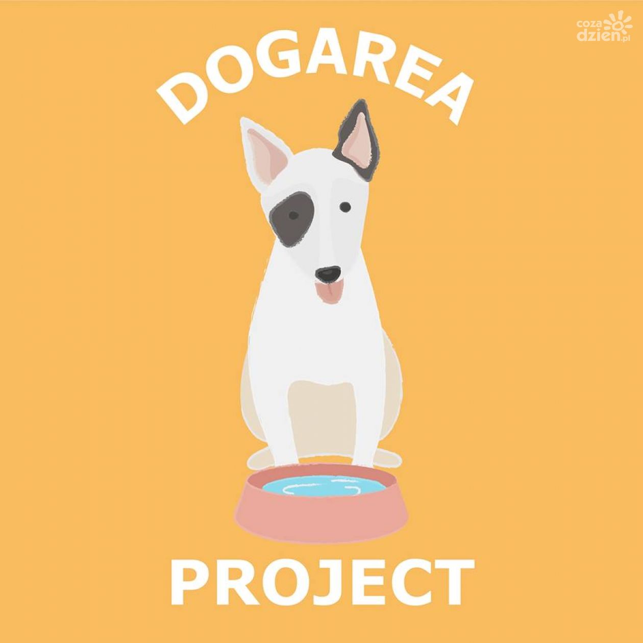 Weekendowy rozkład jazdy