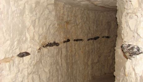 Podziemna trasa turystyczna na Krzemionkach zamknięta