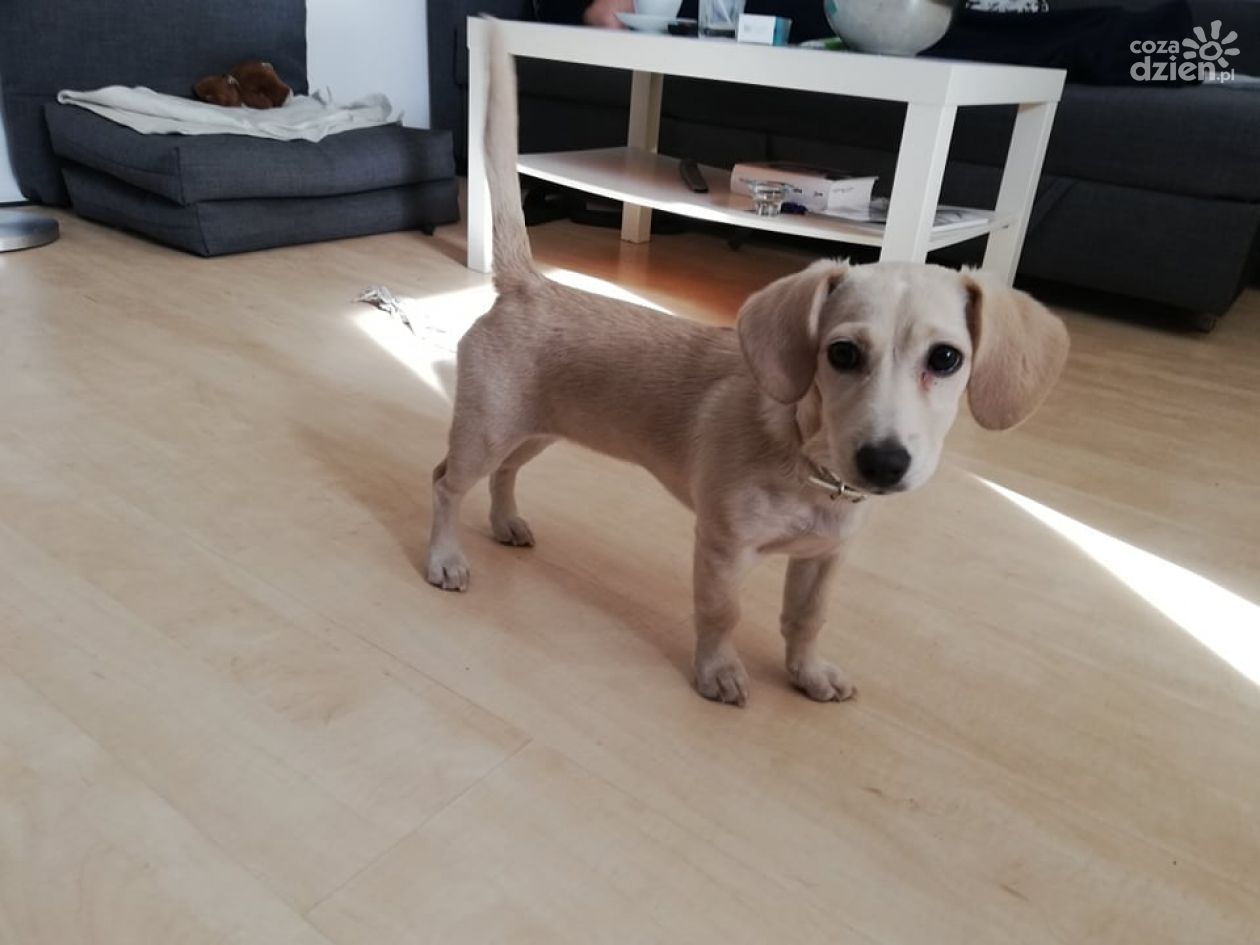 Kundelki dziś świętują!