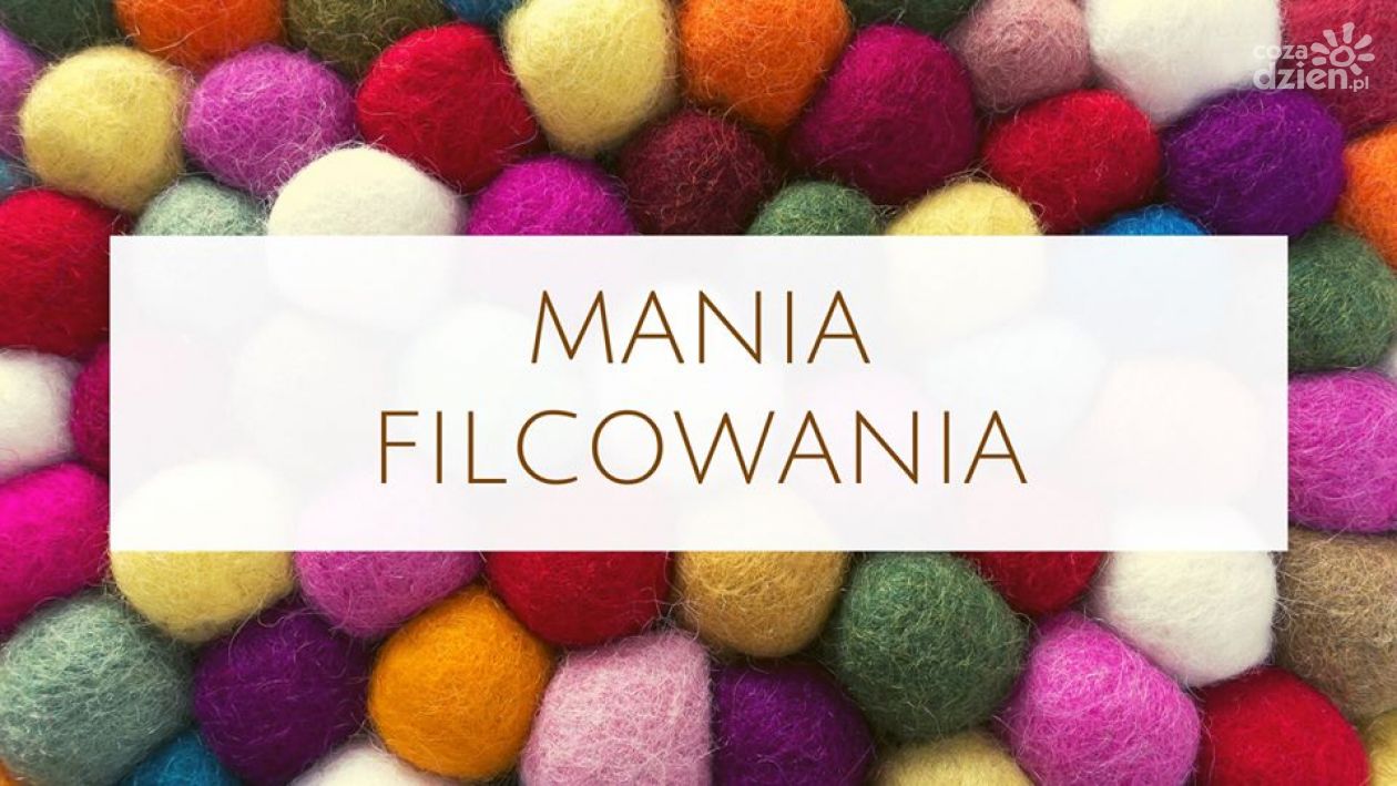 Weekendowy rozkład jazdy