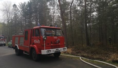 Ostrowiec Św. Plaga pożarów