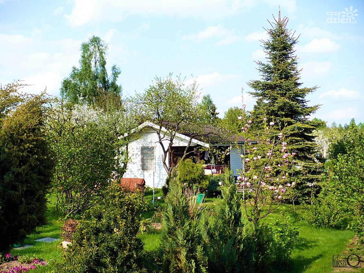 Epidemia. Boom na działki w Ostrowcu Św.