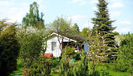 Epidemia. Boom na działki w Ostrowcu Św.