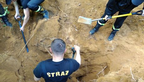 Uwolnili psa zaklinowanego w lisiej jamie