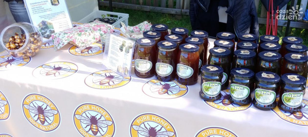 Pszczoły też mają swoje święto. W Bałtowie z tej okazji będzie konferencja