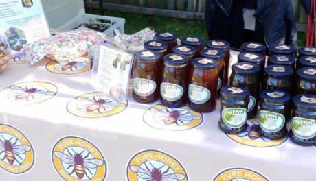 Pszczoły też mają swoje święto. W Bałtowie z tej okazji będzie konferencja