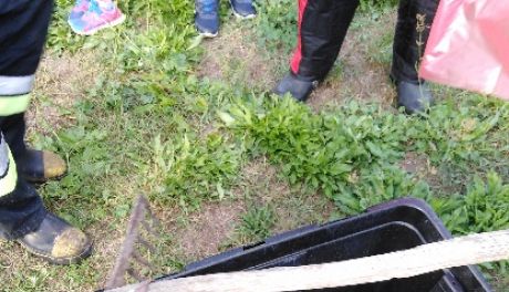 Nietypowa akcja ostrowieckich strażaków