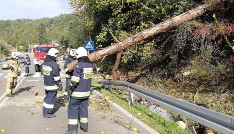 Pracowita niedziela strażaków - walczyli ze skutkami wichury