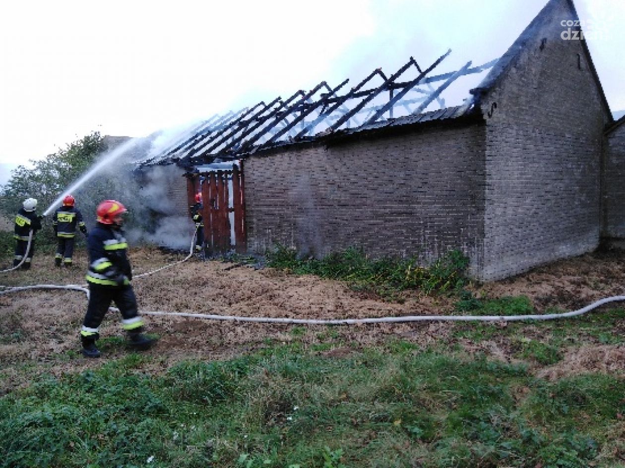 Płonął budynek gospodarczy w Buszkowicach