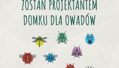Weź udział w konkursie i zaprojektuj domek dla owadów