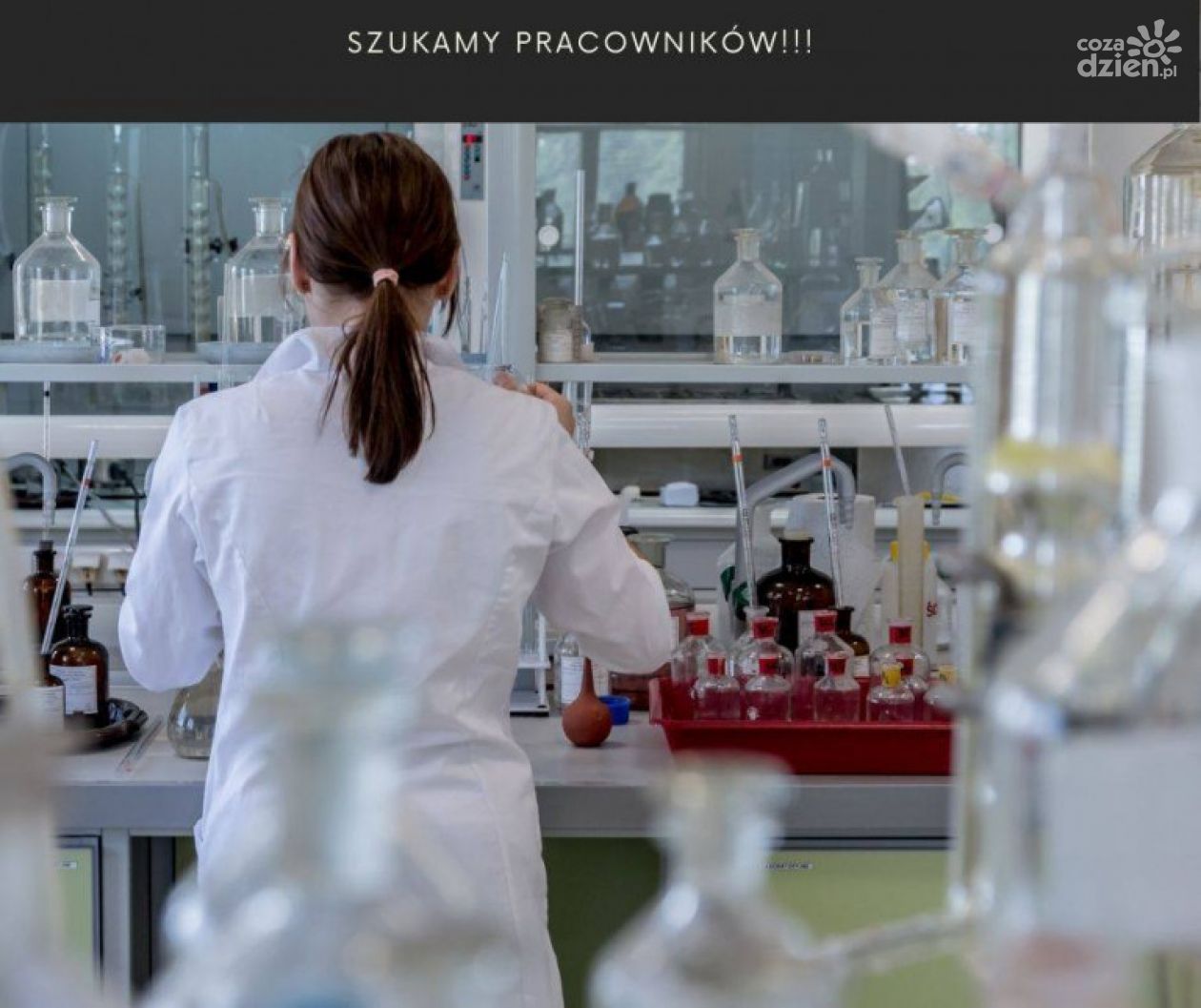 Laboratorium w Podzamczu szuka diagnostyków i biotechnologów