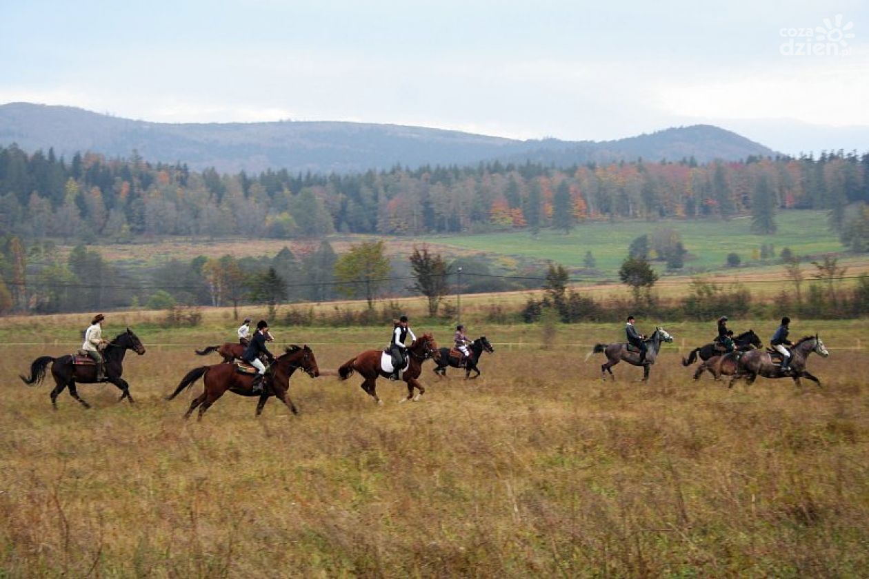 Tomasz Marcinowski: W tym roku Hubertus będzie skromniejszy
