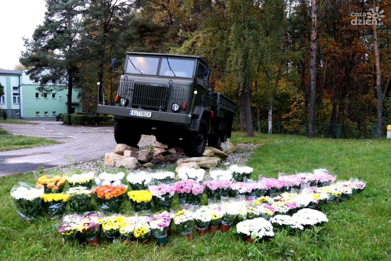 Starachowice: Producentom i handlowcom kwiatów pomaga też samorząd
