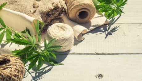 Jakie zastosowanie mają konopie włókniste ?