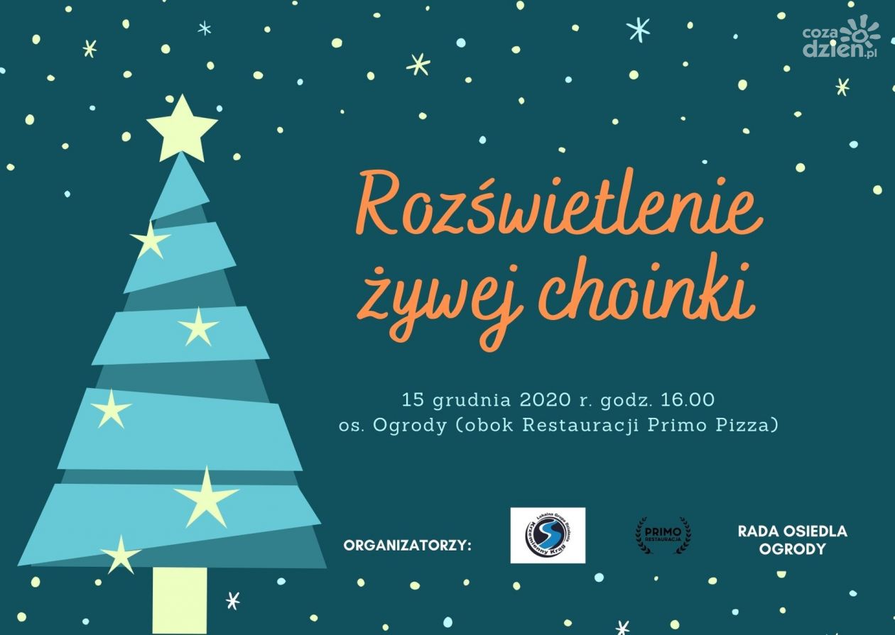 Wspólnie rozświetlmy żywą choinkę