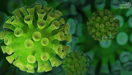 Świętokrzyskie z najmniejsza liczbą zakażeń w kraju