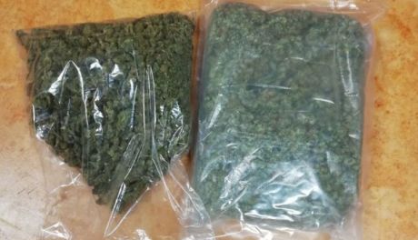 Przejęli spore ilości marihuany