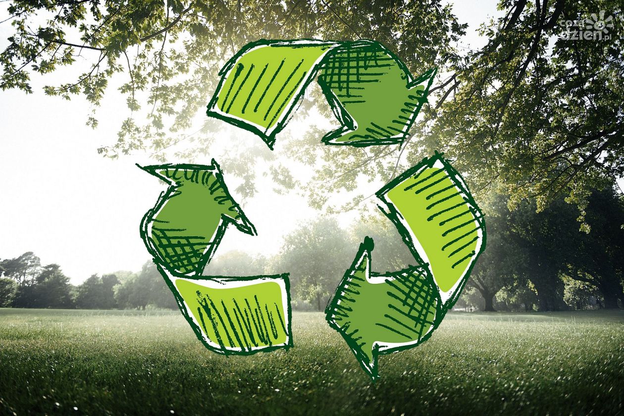Dawid Dwojak: Segregacja odpadów i recykling, tylko tak zadbamy o środowisko 