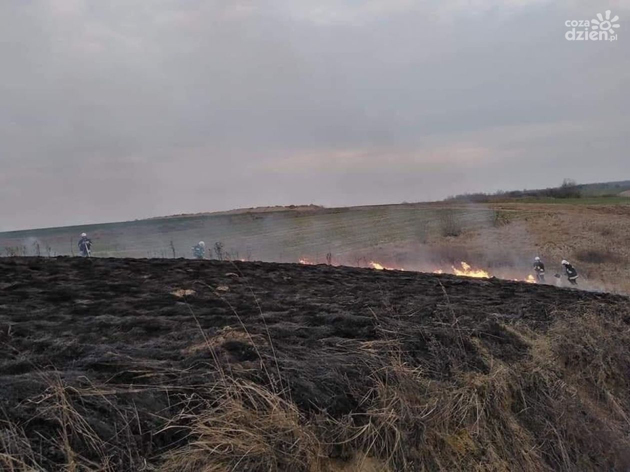 Apel Straży Pożarnej: nie wypalaj traw