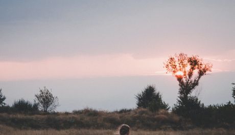 Kobiece, oryginalne i pełne uroku suknie ślubne plus size