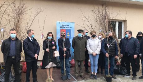 W trosce o pszczoły 