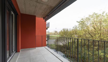 Dlaczego warto zainwestować w osłonę balustrady? 