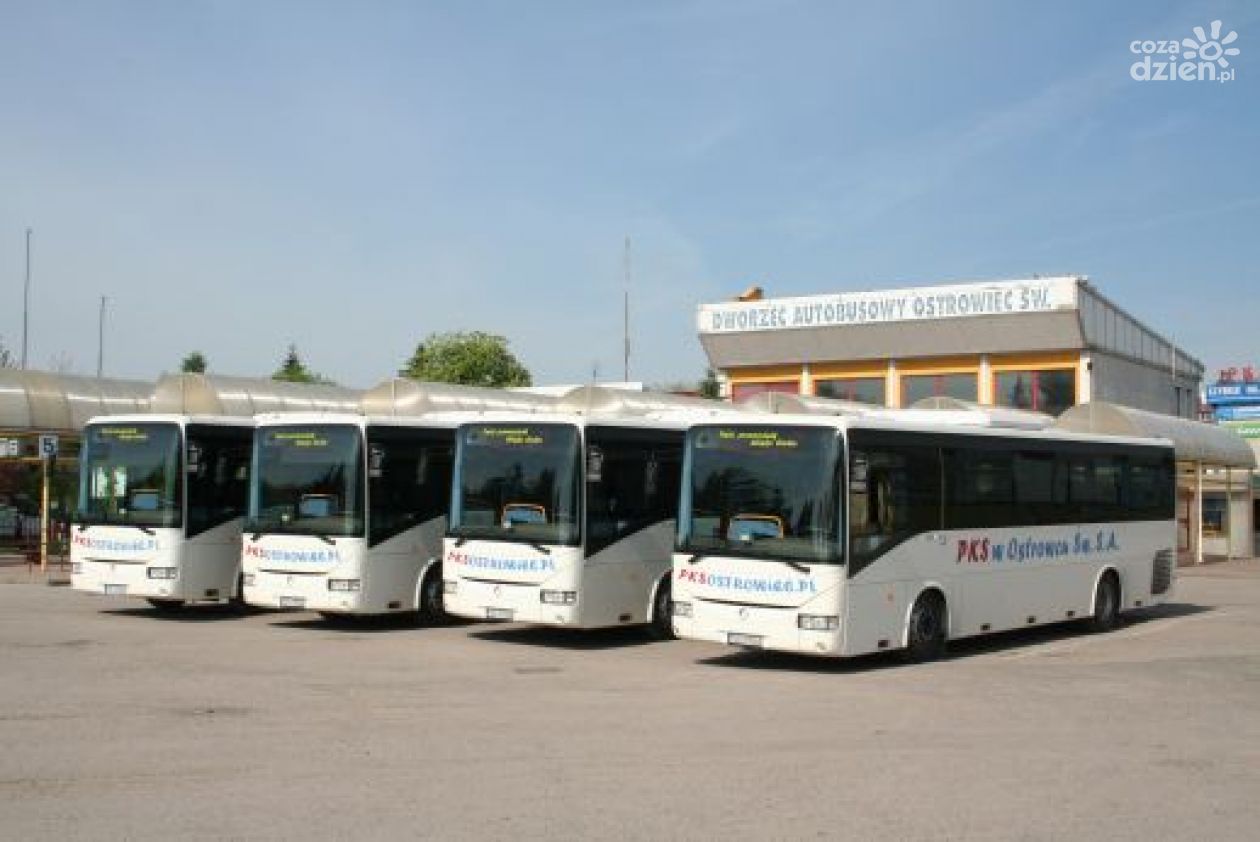 Większa częstotliwość połączeń autobusowych
w powiecie ostrowieckim w ramach programu PKS Plus