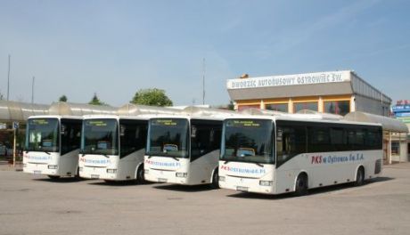Większa częstotliwość połączeń autobusowych
w powiecie ostrowieckim w ramach programu PKS Plus