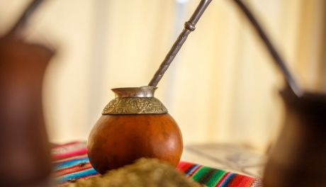Yerba Mate - twój naturalny napar