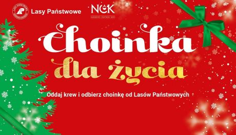 Oddaj krew i odbierz choinkę 